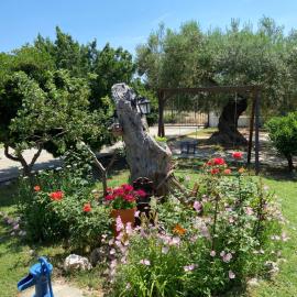 Wine & Olive Studio, hotel v destinaci Gerakini