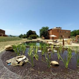 Agriturismo Podere Padolecchie - Azienda Agricola Passerini, Hotel in Torrita di Siena