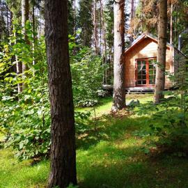 Private cosy forest cabin, hotel sa Inturkė