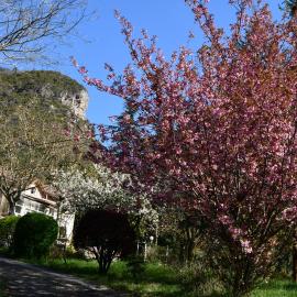 Gîte Domaine du Théron