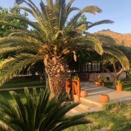 Gregory's Village, hotel en Plati