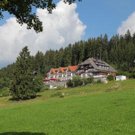 JUFA Hotel Schwarzwald, hotell i Lenzkirch