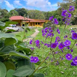 El Valle Resort & Spa - Aguas Termales、エル・バジェ・デ・アントンのホテル