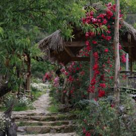 H'mong Cổ Trấn Sapa Homestay & Restaurant
