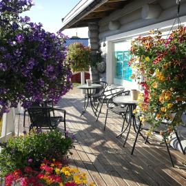 Skoganvarre Villmark, hotel i Skoganvarre