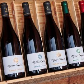 Domaine Gilles Copéret- Artisan-Vigneron- chambres d'hôtes Les Glycines -, hotell sihtkohas Régnié