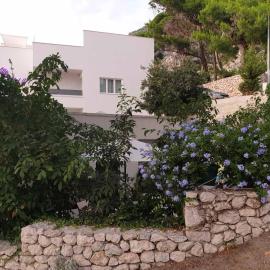 Villa Lasta, hotel Drasnicében