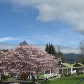 Turangi Bridge Motel, hotel a Turangi