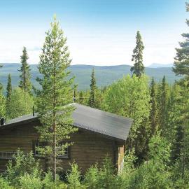 Cozy Home In Vemdalen With Sauna