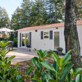 Pet Friendly Home In Vorden With Wifi