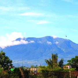 Villa Miky Kota Bunga Puncak Cianjur Bogor