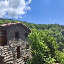 Allotjaments Cal Llarg, hotel en Molló