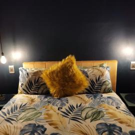 Dreamers nest