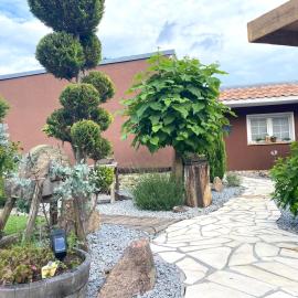 Mechlers Stuben，Sellessen的飯店