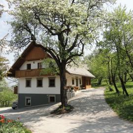 Farm Stay Dolinar Krainer, hotel in Bohinjska Bela