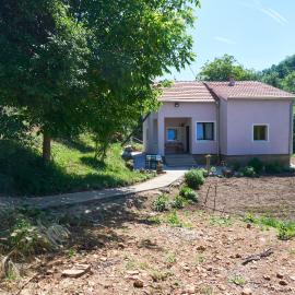 Šumska tajna - Radenkovac, hotel i Lipovac