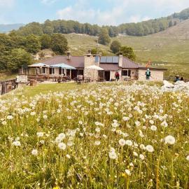 Rifugio Baita Fos-Ce، فندق في برينتونيكو