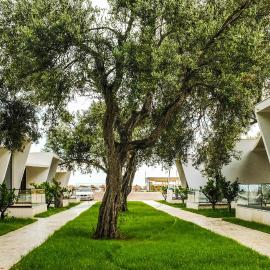 Luna Mare Boutique Seaside, hotel din Borsh