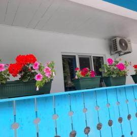 Casa Dobrogea, Hotel in Jupiter