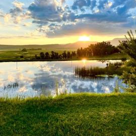 Grey Goose Game Lodge, khách sạn ở Newcastle