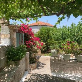 Sergios Village House