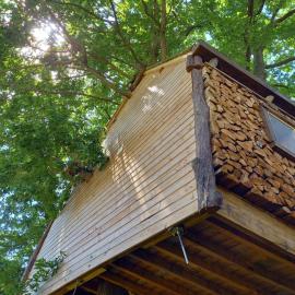 Cabane suspendue dans les arbres