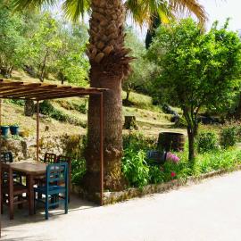Eleonas-Olive grove traditional holiday appartment