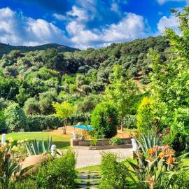 Villa Kalaitsidi - plunge pool, gym and unique gardens、Skinésのホテル