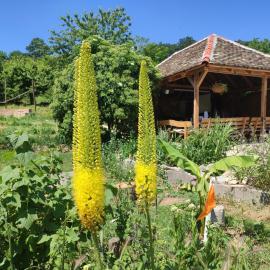 Balkan Retreat, hotel in Besenovacki Prnjavor