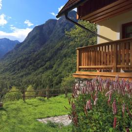Zadnjica Holiday House