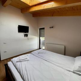 Cabana Mullerhaus, Hotel in Tău Bistra