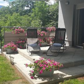 Birdsong Getaway a peaceful, pet-friendly base for exploring