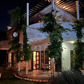 Green Villa in Olives