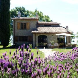 Agriturismo Sanventura