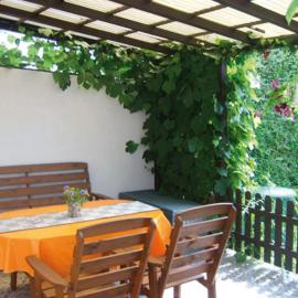 Waren में, होटल Ferienhaus "Libelle" Objekt ID 12111-6