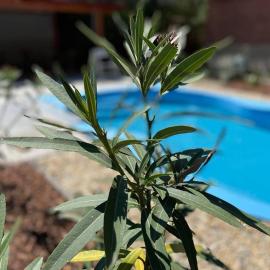 Kovács Apartman Kunfehértó, viešbutis mieste Kunfehértó