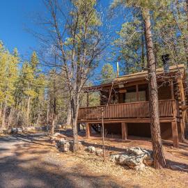 Forest Cabin 5 Old Glory – hotel w mieście Payson