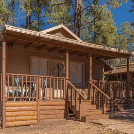 Hideaway forest cabin 9 Squirrels Den, hótel í Payson