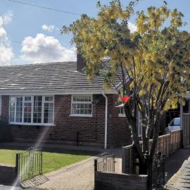 Spring Gardens Holiday Bungalow, hotel in Cayton