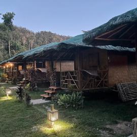 Back Trippers Inn