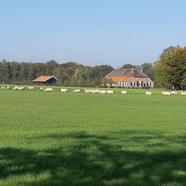 B&B Joostink in Vorden, hotel i Vorden