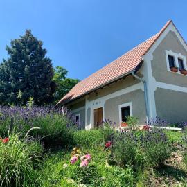 Csillagtenger- Balaton home with a view, hotel in Balatonederics