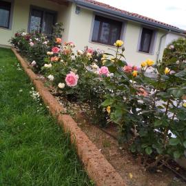 B&B Fili d'erba