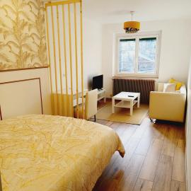 Superbe Appartement en plein centre-ville de Crépy, hotel in Crépy-en-Valois