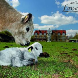 Landhotel Löwenbruch, hotel v destinácii Löwenbruch