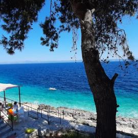 Summer House Bougainvillea by Dubrovnik Colors