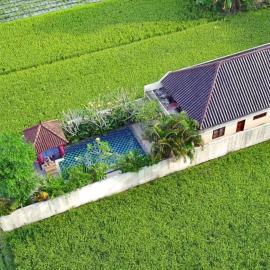 Private pool Villa Sawah Sewon