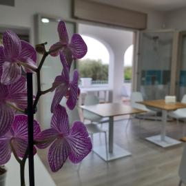 Shekhinah Bed and Breakfast Home Restaurant, hotel di Maruggio