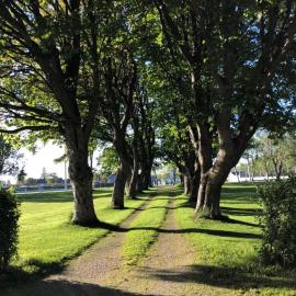 Sjarmerende hus med veldig stort uteareal., hotel em Brekstad
