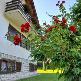 House Draga Plitvice near the lakes and bus stop